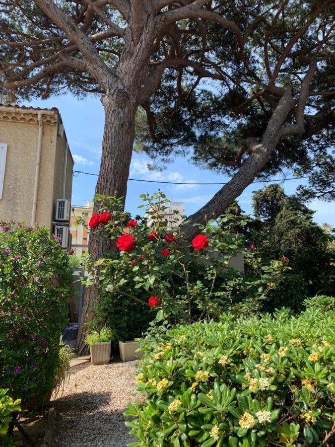 Hotel Beau Rivage Le Lavandou Exteriör bild